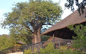 Adansonia Eco Lodge